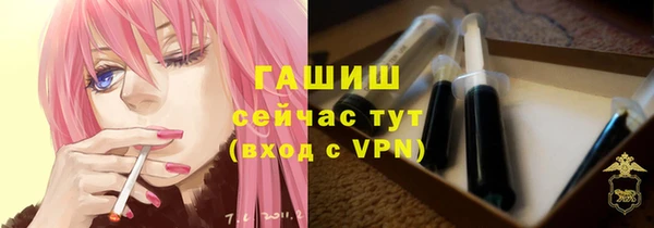 амф Бородино