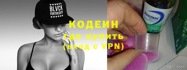 амф Бородино