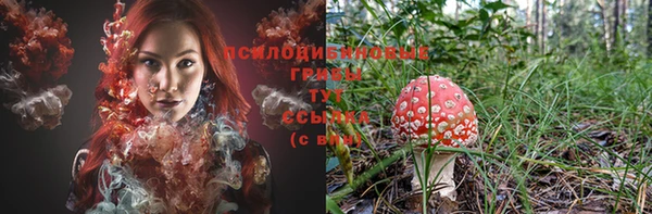 амф Бородино