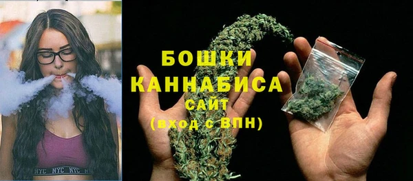 винт Бронницы